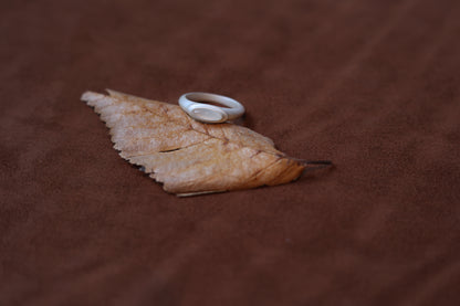 The B & W Onyx Ring — white oval ring on a dried leaf