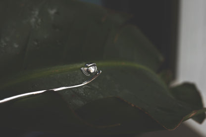 Magnolia Flower Hair Pin — magnolia-shaped hair pin on green foliage