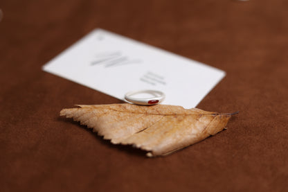 The Red Agate Silver Ring — red-stone ring on dried leaf beside card