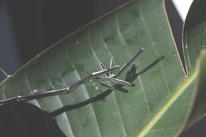 Bamboo Hair Pin — bamboo-shaped hair pin in sunlight on a leaf