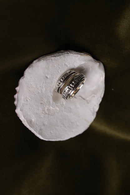 The Circles-Ring — spinning ring on white shell