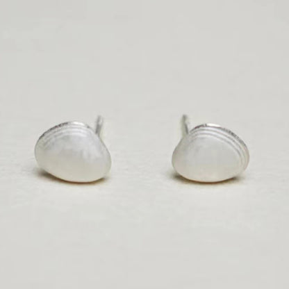 The Shell-Ear Stud — pair of shell-shaped studs on a pale surface